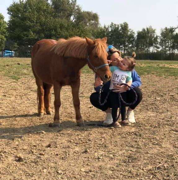ilvhorses1